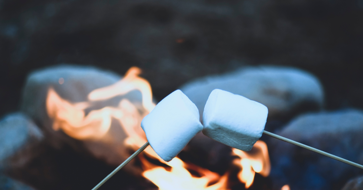 Roast Marshmallows in Aluminum Roaster